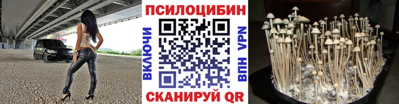 Псилоцибиновые грибы Magic Shrooms  Купить  Петров Вал 