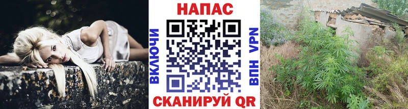 Шишки марихуана сатива  Купить  Петров Вал 